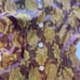 Vintage NONA Fashion USA Shimmer Gold Floral 2 Piece Jkt Ruffles Midi SZ M