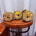 Set of 3 Brass Chinese Sanxing Statues Three Star Gods