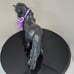 Carltonlima Emma Fell Pony Breyer