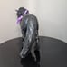 Carltonlima Emma Fell Pony Breyer
