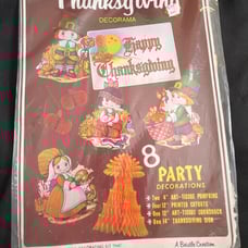 Vintage Thanksgiving Day Party Decor Beistle