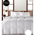 Hotel Collection goose down comforter queen