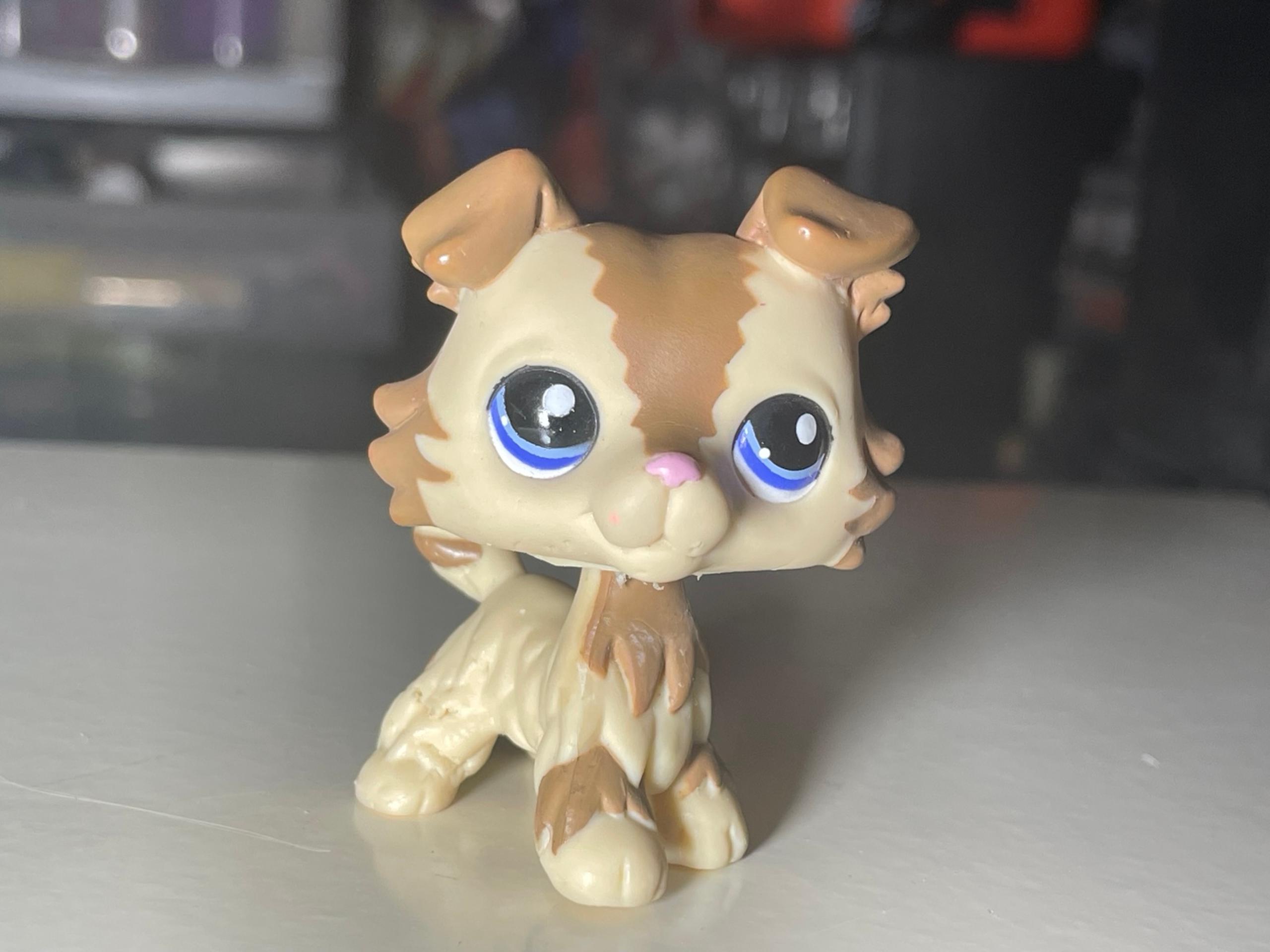 LPS #2210