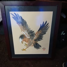 Eagle paiting