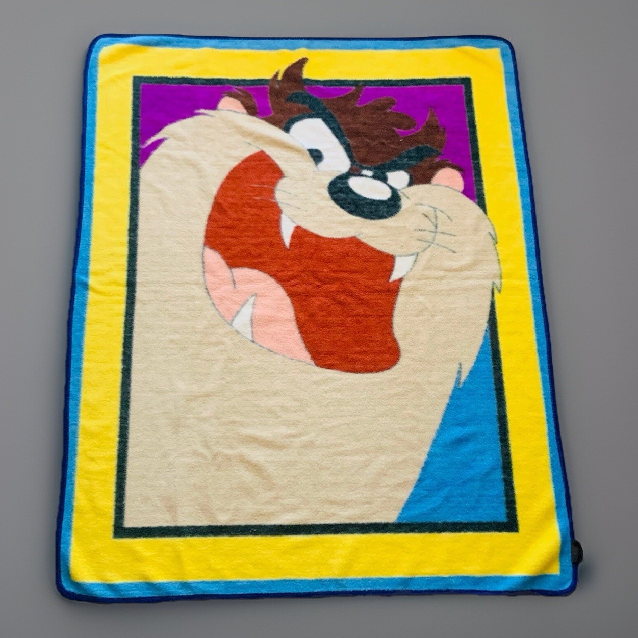 VTG Tasmanian Devil Taz Looney Tunes Owen Reversible Fleece Throw Blanket 49x59