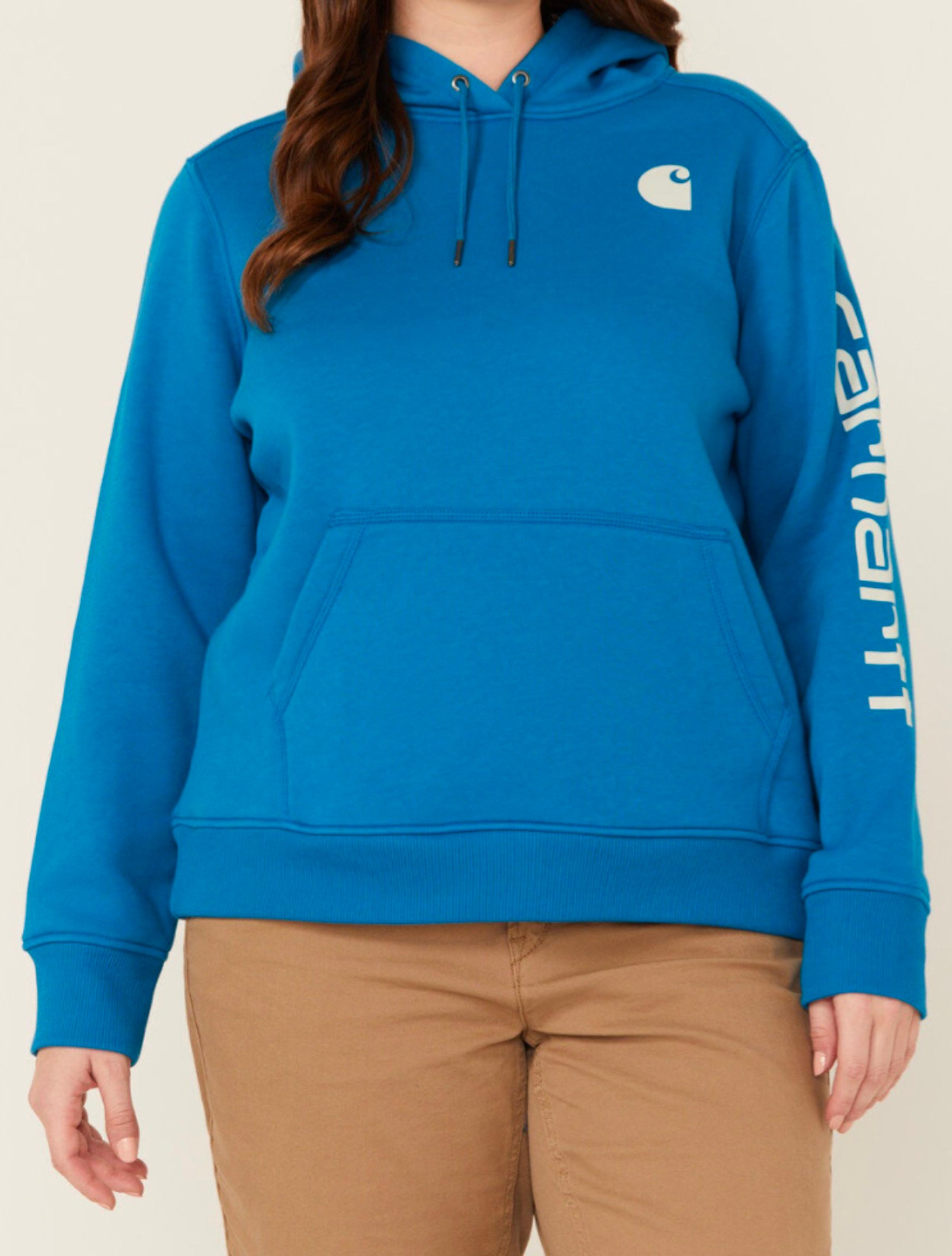 Carhartt Clarksburg Graphic Sleeve Hoodie Sweatshirt Size 2X LikeNew MSRP $64.99