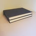 The Story Of The Bible Volumes 1 And 2 Waverley Book Co Staging Decor Set