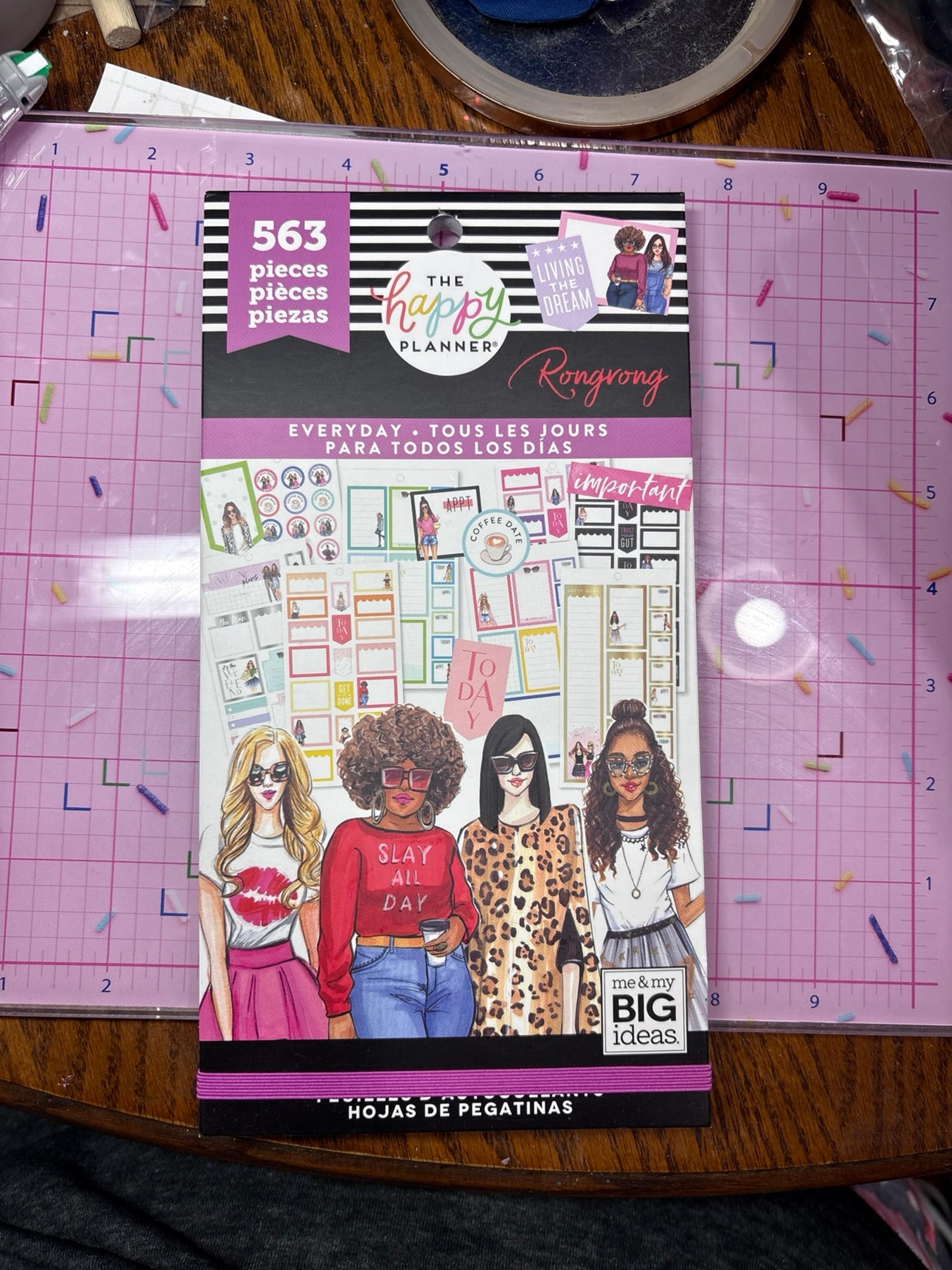 The Happy Planner rongrong "everyday" stickers. 563 stickers in all. Brand new