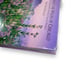 My Journey into the Wilds of Chicago Natural Wonders Mike MacDonald 1st Edition