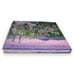 My Journey into the Wilds of Chicago Natural Wonders Mike MacDonald 1st Edition