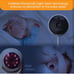Baby Monitoring Systemgiraffe pro max