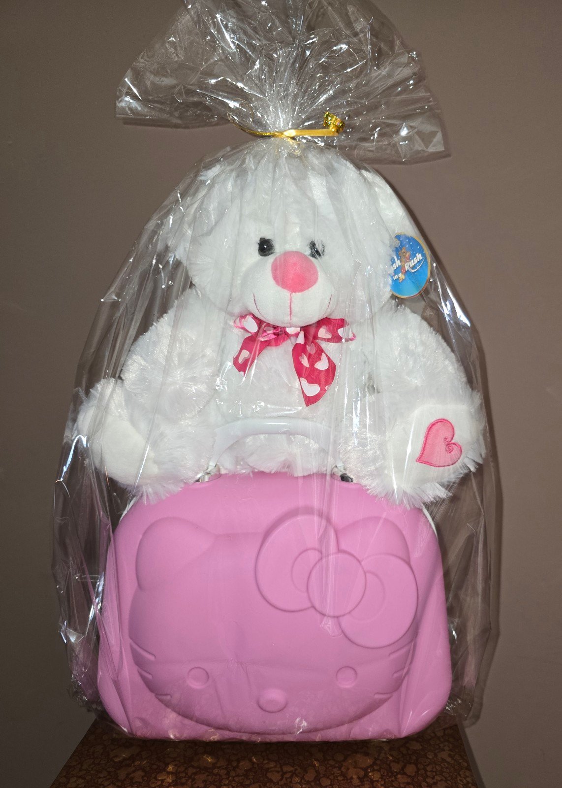 Hello kitty mini luggage gift set