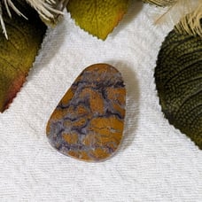 Large Bumblebee Jasper Cabochon S060
