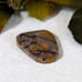 Large Bumblebee Jasper Cabochon S060