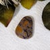 Large Bumblebee Jasper Cabochon S060