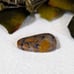 Large Bumblebee Jasper Cabochon S060