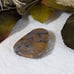 Large Bumblebee Jasper Cabochon S060
