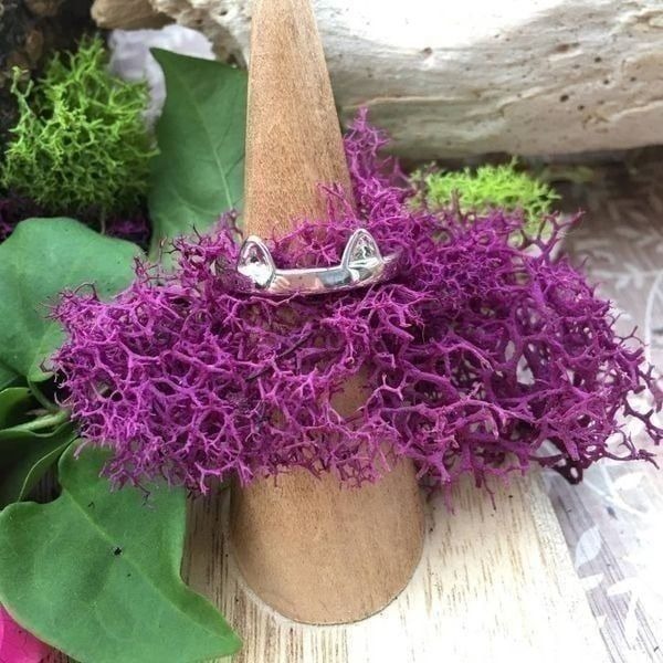 Sterling Silver Cat Ears Ring