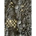 Outfit Petite JPR Black Floral Crochet Short Sleeve Cardigan Petite