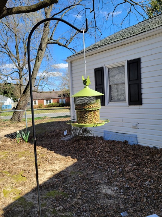 Outdoors Hanging Metal Bird Feeder: Digipettor 4 lbs Large Capacity Mesh Squirre