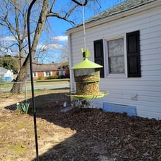 Outdoors Hanging Metal Bird Feeder: Digipettor 4 lbs Large Capacity Mesh Squirre