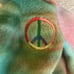 Vintage collectible Ty Original Beanie Baby Collection tie died Peace bear in or