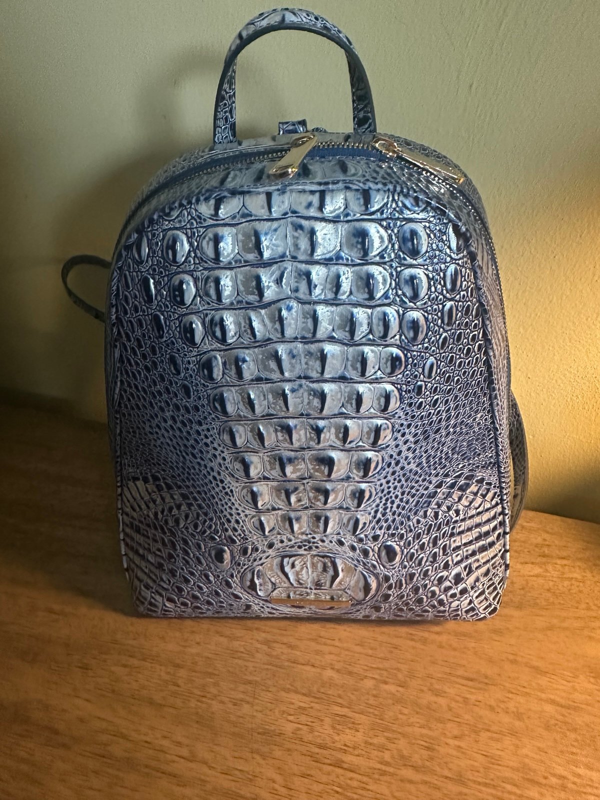 Brahmin Nola Coastal Blue Melbourne Bacpack