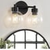 2 Sets Black Bathroom Light Fixtures, 2 Lights