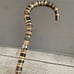 Early 20th Century Sterling Silver Collar Steel Core Stacked Natural Horn Cane