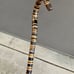 Early 20th Century Sterling Silver Collar Steel Core Stacked Natural Horn Cane