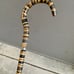 Early 20th Century Sterling Silver Collar Steel Core Stacked Natural Horn Cane