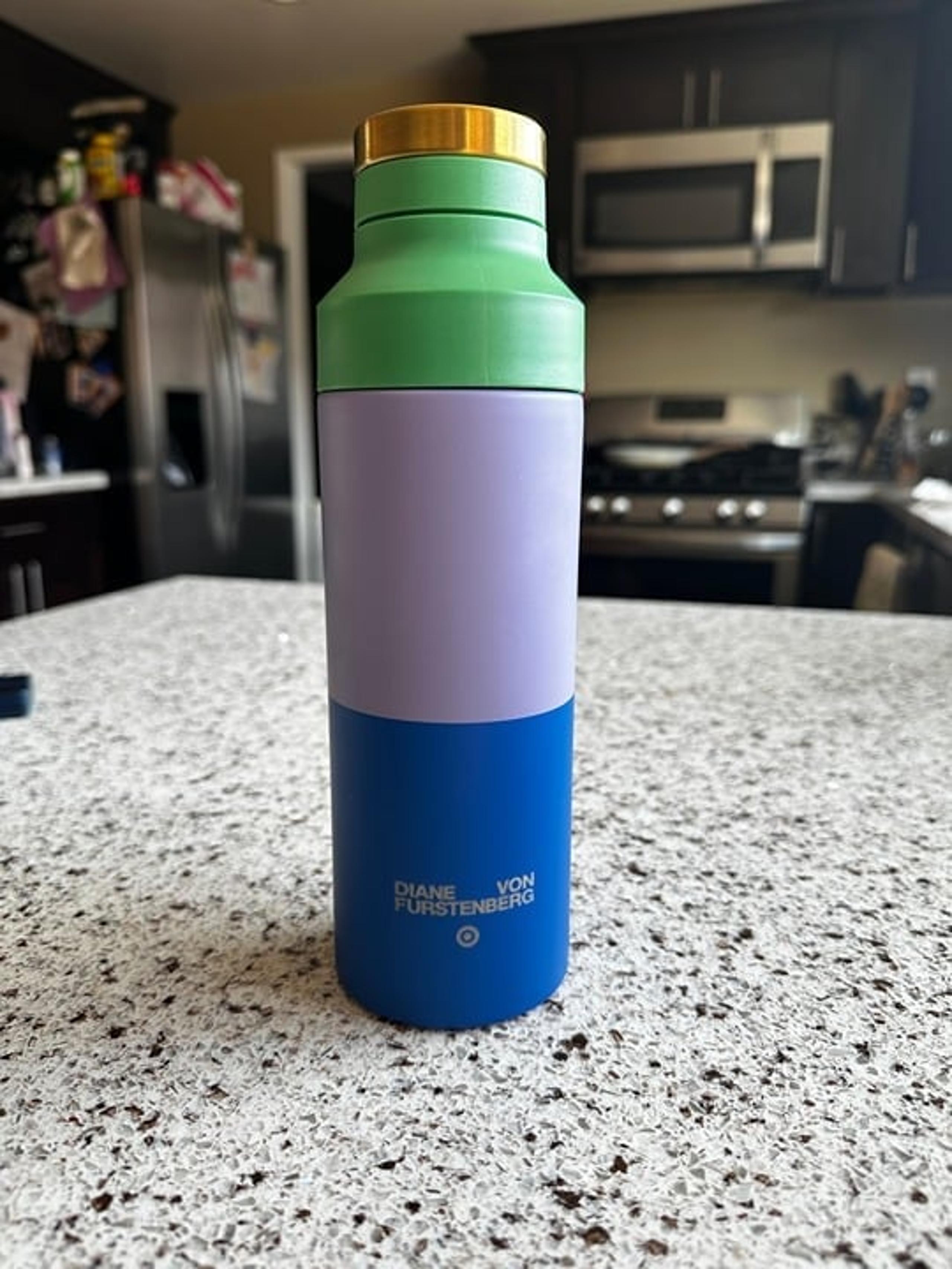 Color Block 19oz Stainless Steel Water Bottle - DVF for Target