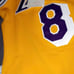 Mitchell & Ness Los Angeles Lakers Alternate 1996-97 Kobe Bryant Jersey