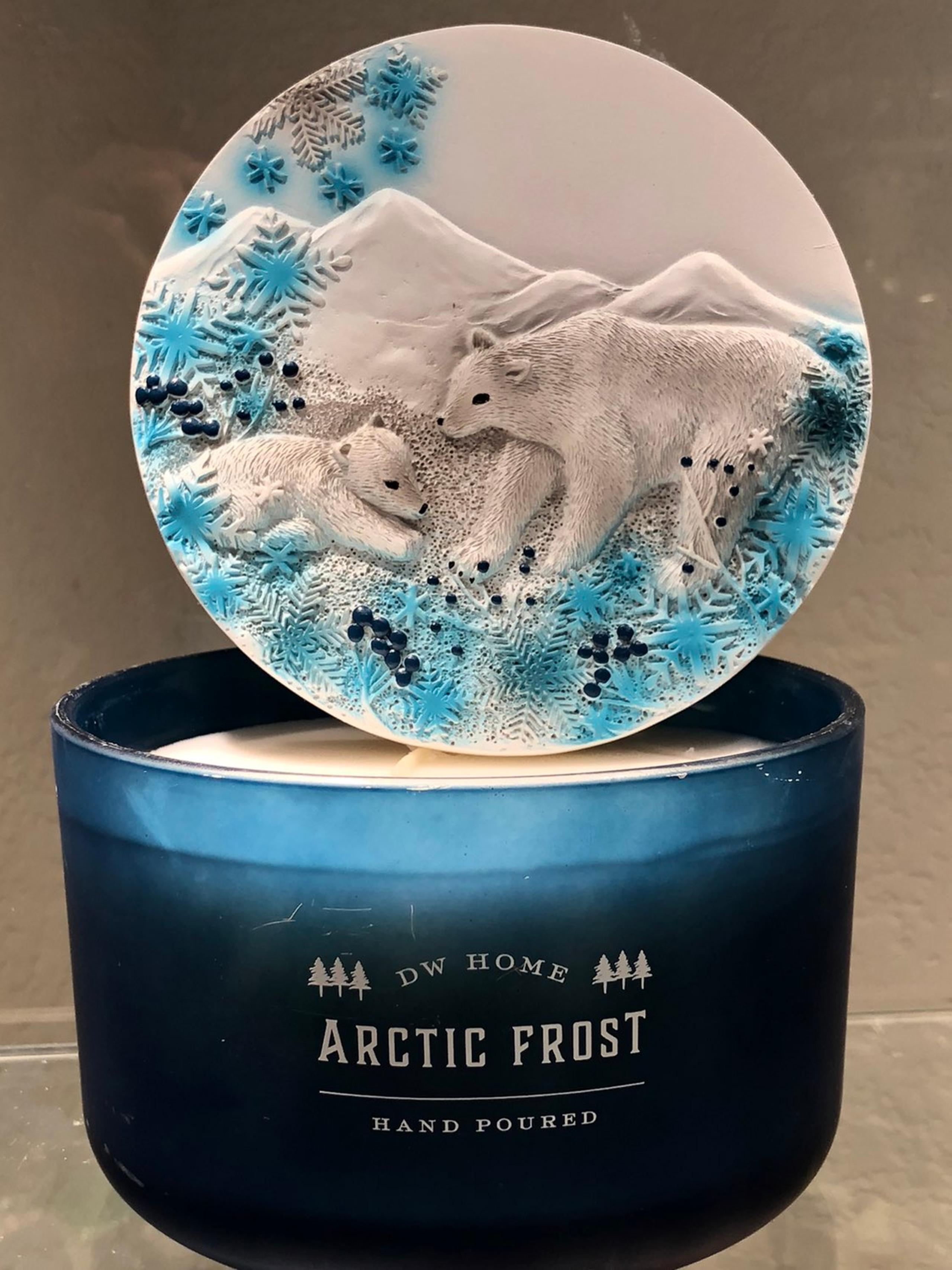 DW Home Artic Frost 14.8 oz Candle