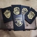 Set of 5 Harry Potter moleskin notebooks