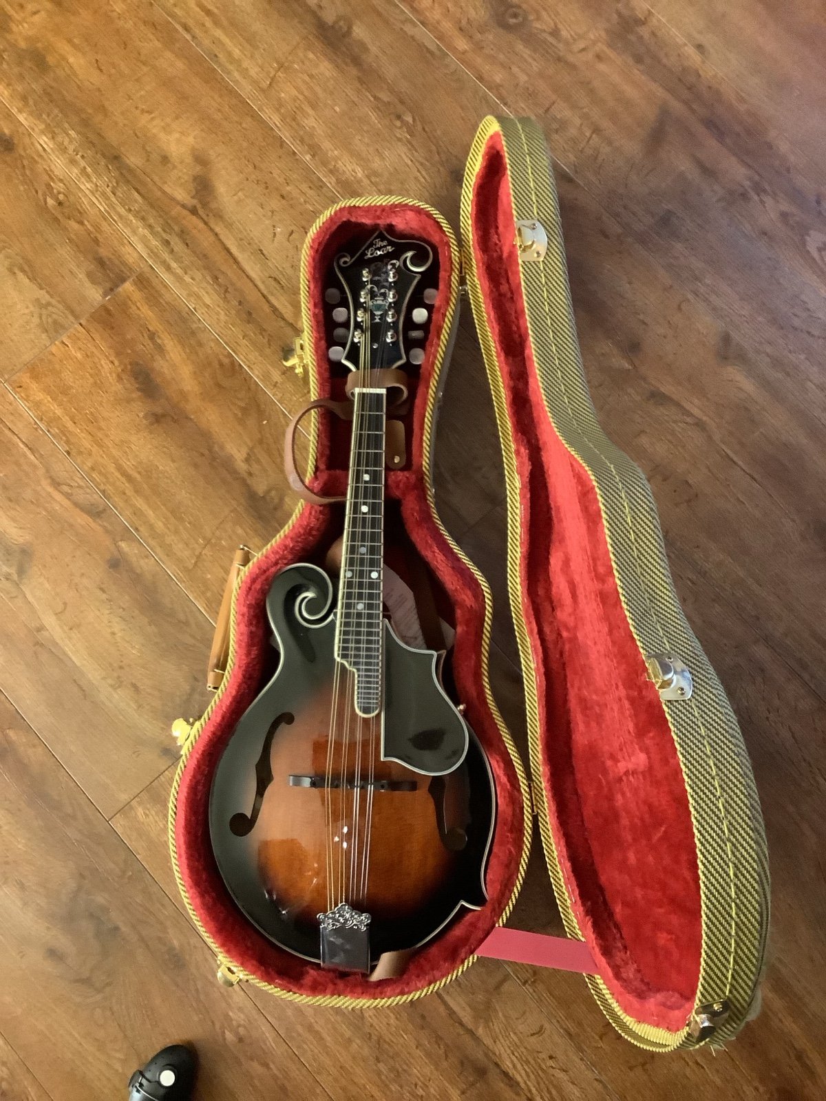The Loar Vintage Sunburst mandolin and case