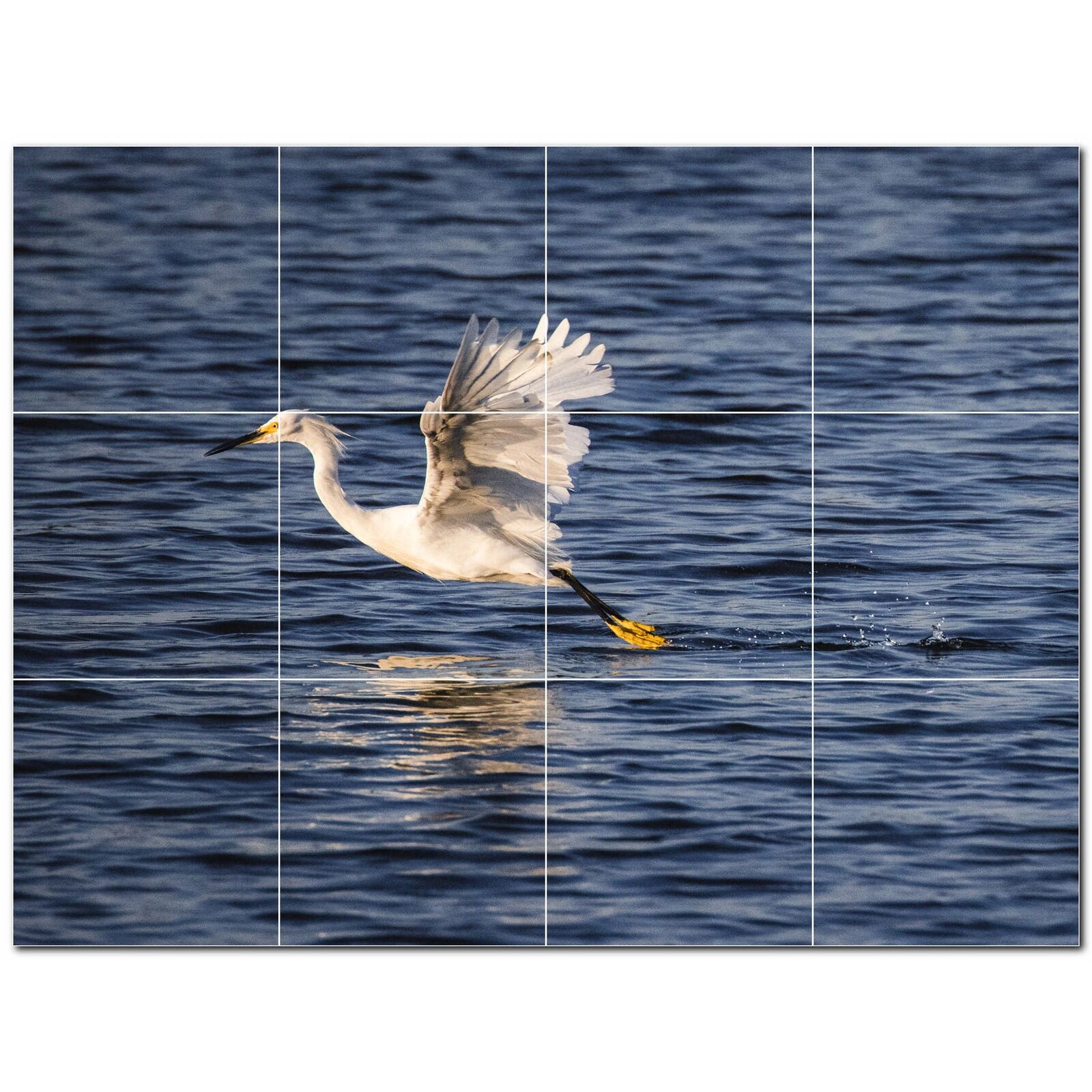 Bird Ceramic Tile Wall Mural PT500153. 48 W x 36 H (12) 12x12 tiles