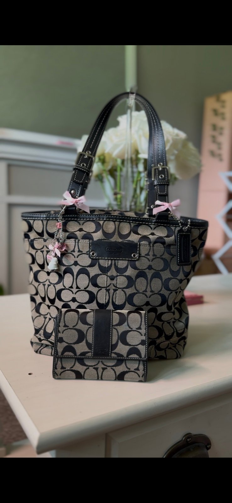 Coach tote set