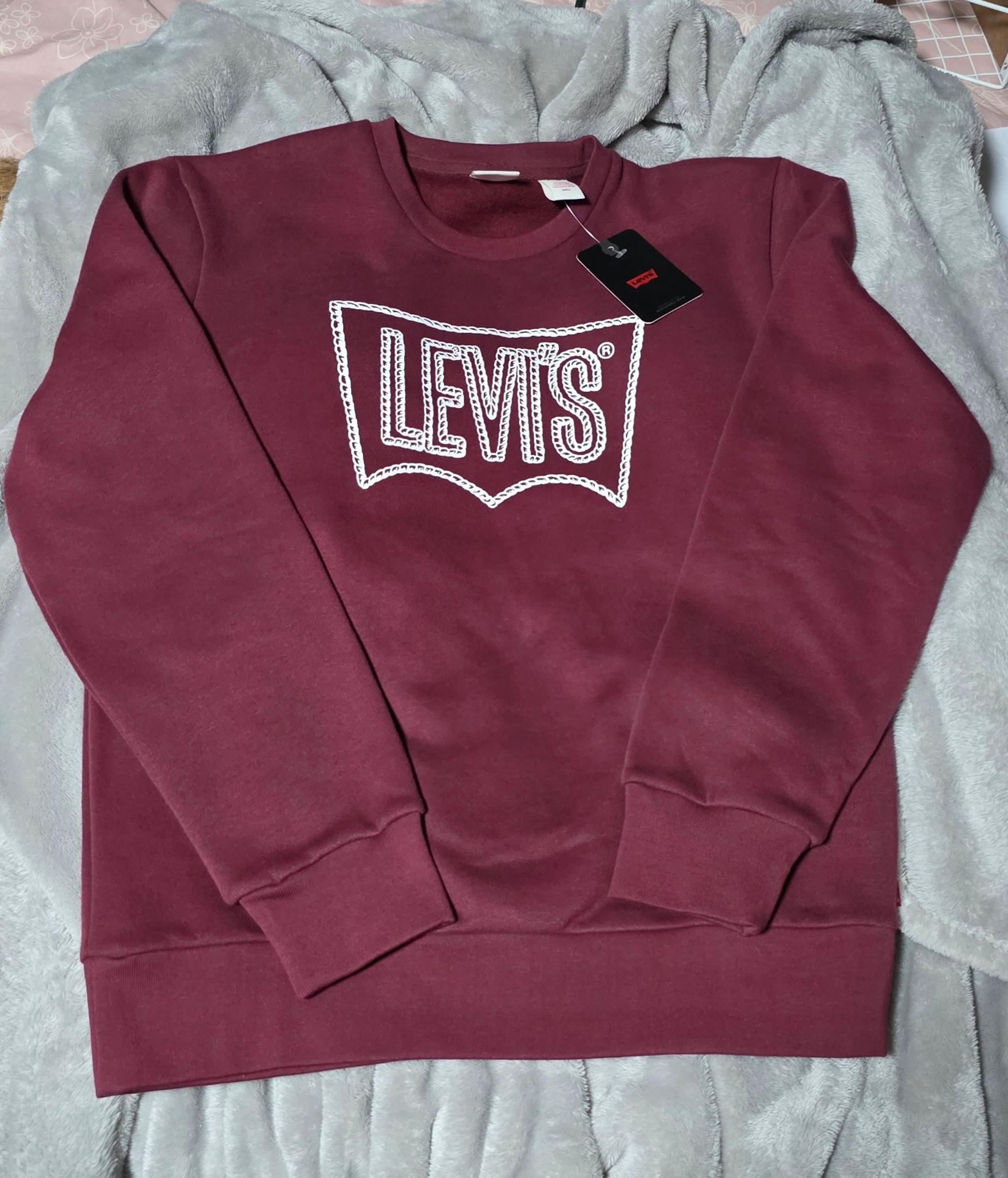 Levi's Men's Casual Fit Logo Pullover Sweatshirt