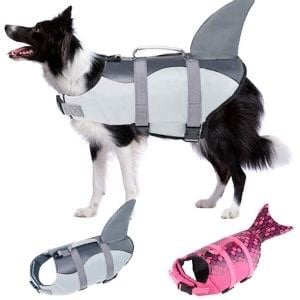 H P Shark fin dog life preserver