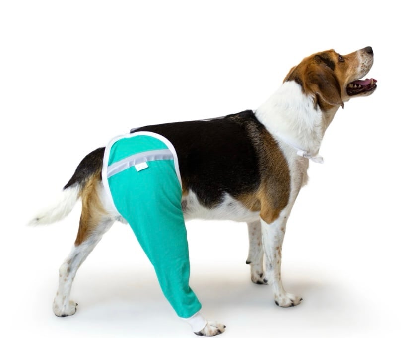 Hip and Thigh Protective Sleeve for Dogs