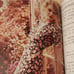 Taylor Swift Teen Vogue Magazine