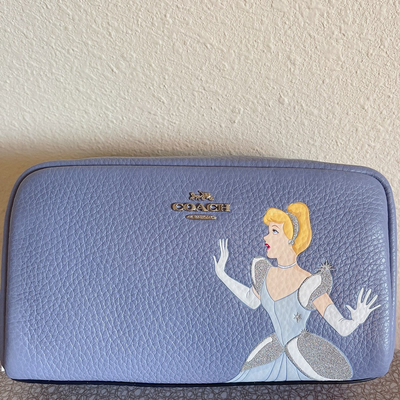 Coach cinderella boxy cosmetic cheapest case