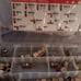 Brass Compression Fitting Assortment Heavyduty