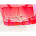 EUC! Lilly Pulitzer January Skort Skirt Shorts Pop Pink Sea Sz 2