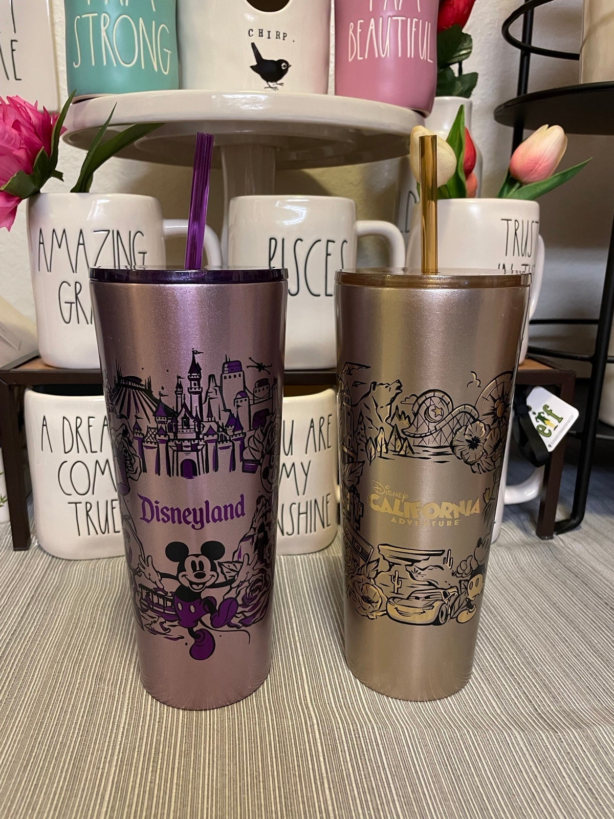 Disneyland and Disney California Adventure Starbucks Stainless Steel Tumbler Set