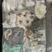 Reborn baby doll accessories elephant bundle