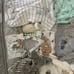 Reborn baby doll accessories elephant bundle