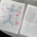 Human Anatomy Laboratory Manual with Cat Dissections (8th edition)