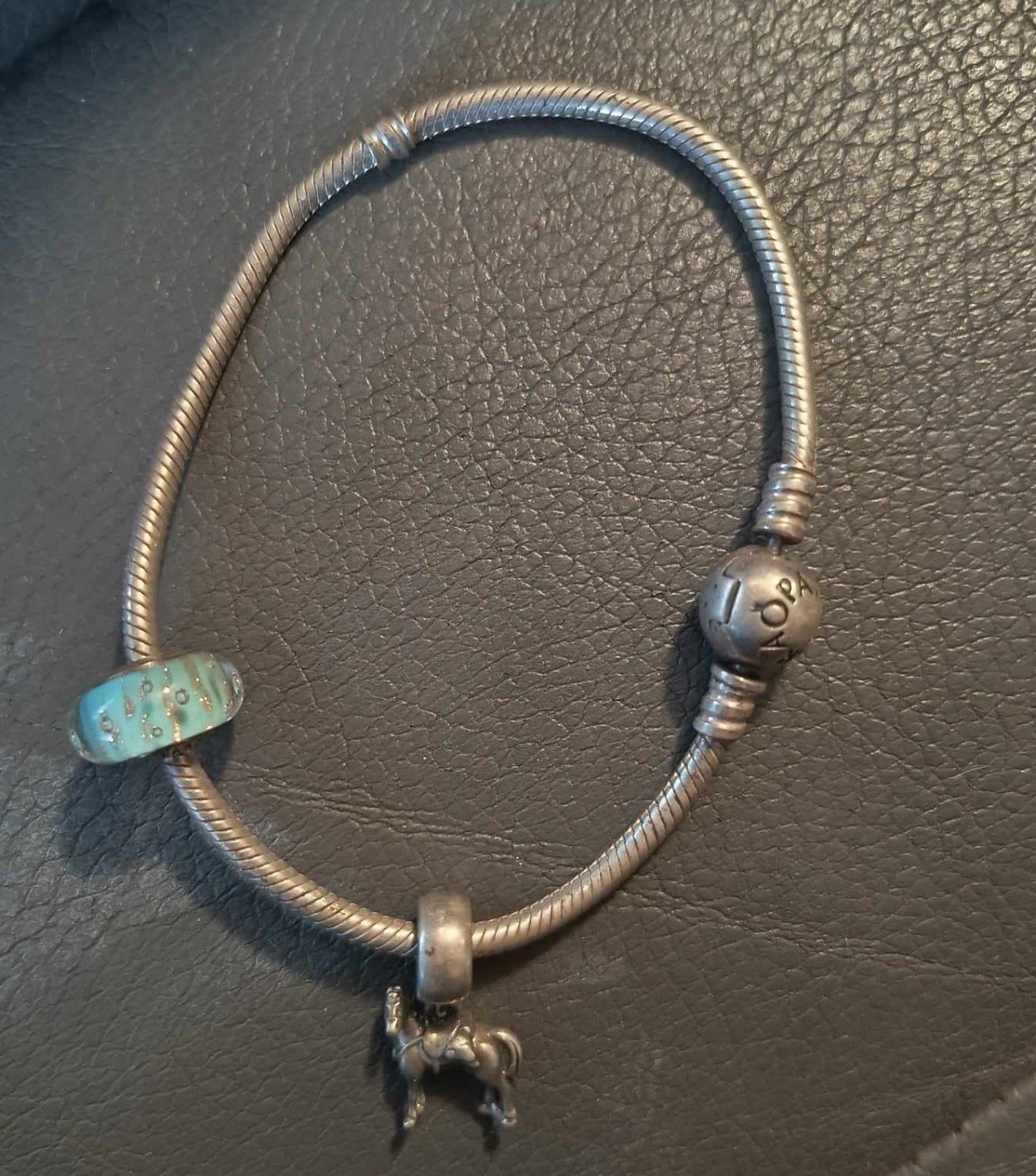 Pandora charm bracelet